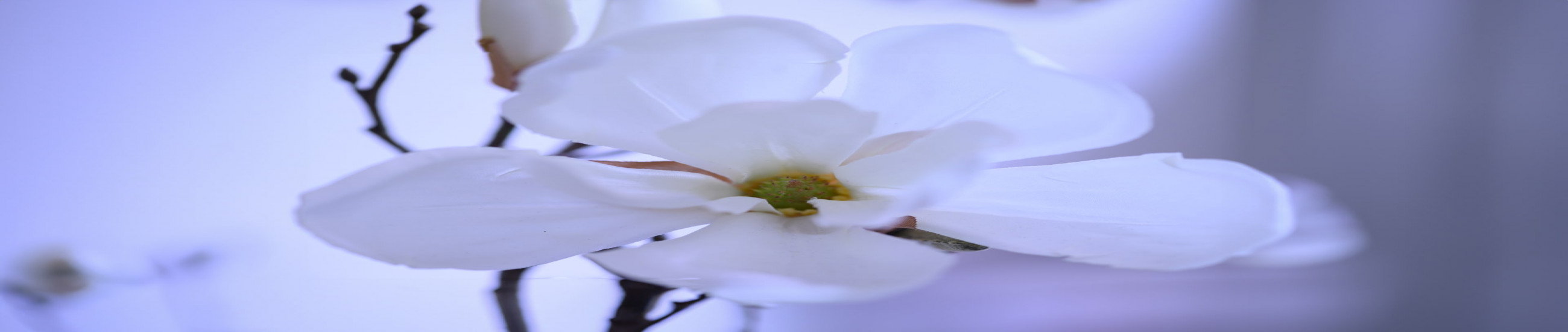 Rechtsanwälte Bottrop