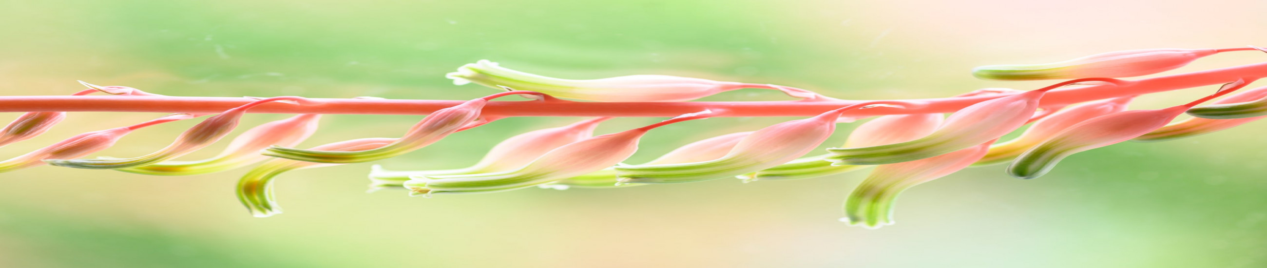 Rechtsanwälte Bottrop