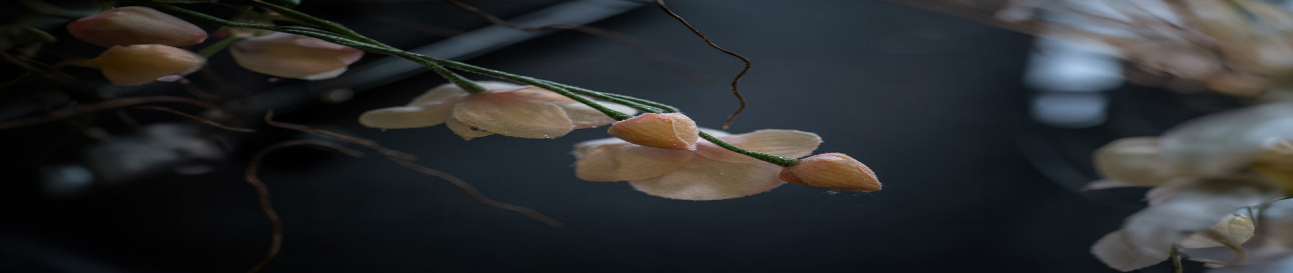 Rechtsanwälte Bottrop