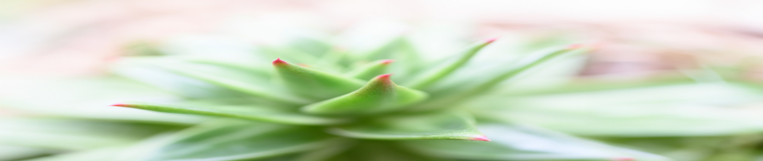 Rechtsanwälte Bottrop